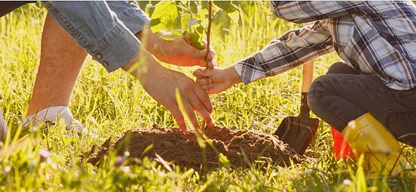 Bestatter Remscheid, Bestattungsunternehmen Remscheid, BaumFrieden Bestattung Remscheid, Baumbestattung Remscheid, Vater mit Sohn Baum einpflanzen