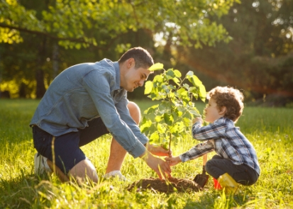 Bestatter Remscheid, Bestattungsunternehmen Remscheid, BaumFrieden Bestattung Remscheid, Baumbestattung Remscheid, Vater mit Sohn Baum einpflanzen